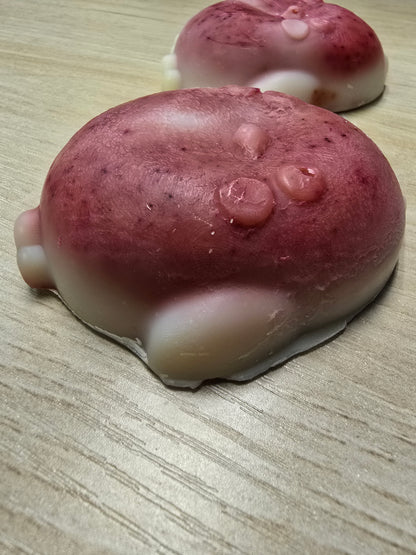 Geranium Eucalyptus Coconut Milk & Rice Water Soap